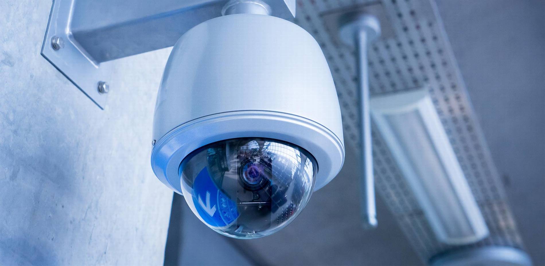 #1 Best Security Camera Company: CAT6 CAT7 CAT8 Network vs Wiring Installer Low Voltage Fiber Optic Palm Beach